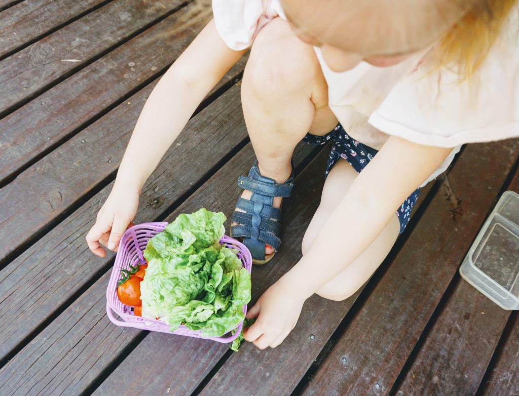 Jenna's niece shows off her veggie patch haul, including lettuce and tomatoes, in a purple basket