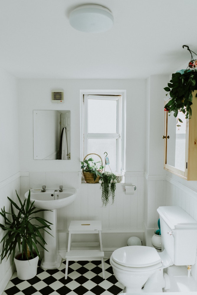 A white bathroom with a range of indoor plants