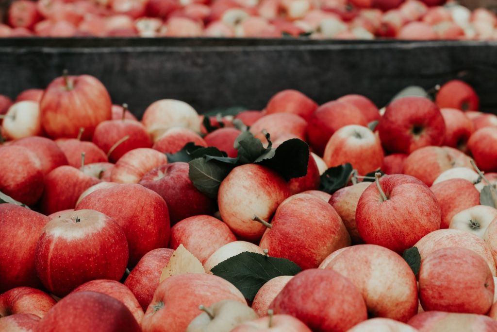 A load of apples in the back of a truck