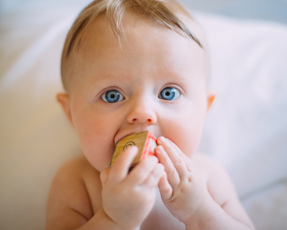 An infant gazes at the camera chewing on a wooden toy block