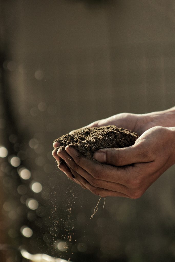 Cupped hands hold a handful of soil