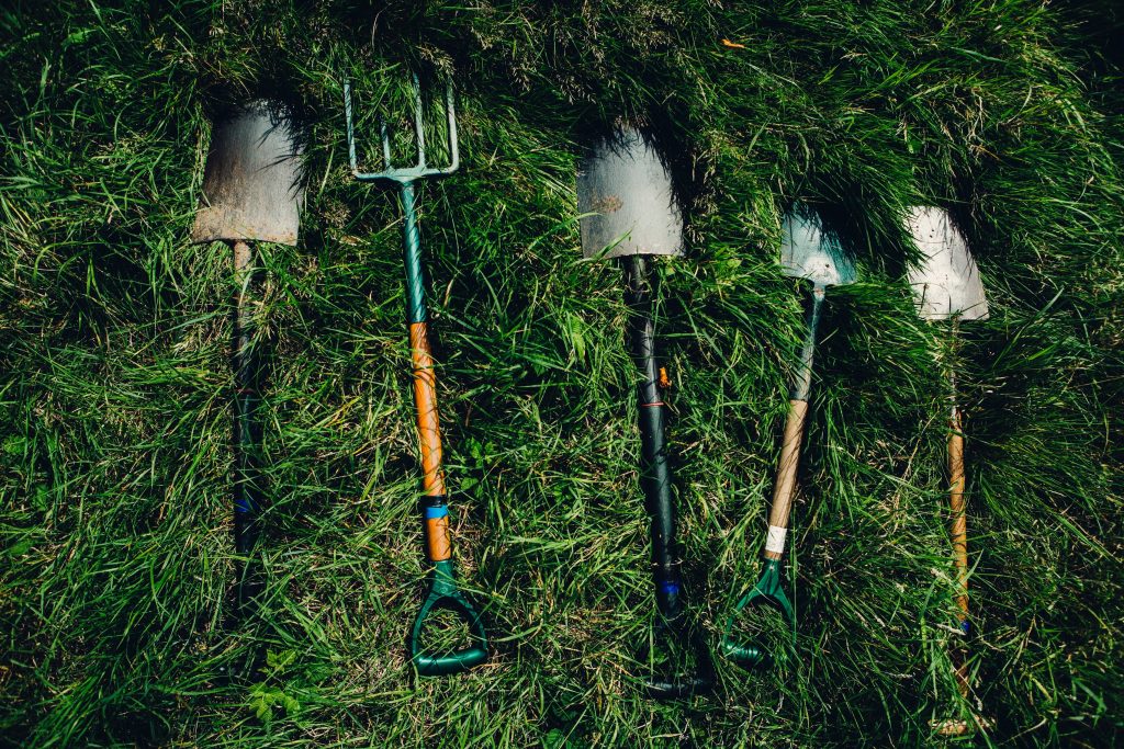 A pitchfork and four shovels lay resting on the grass