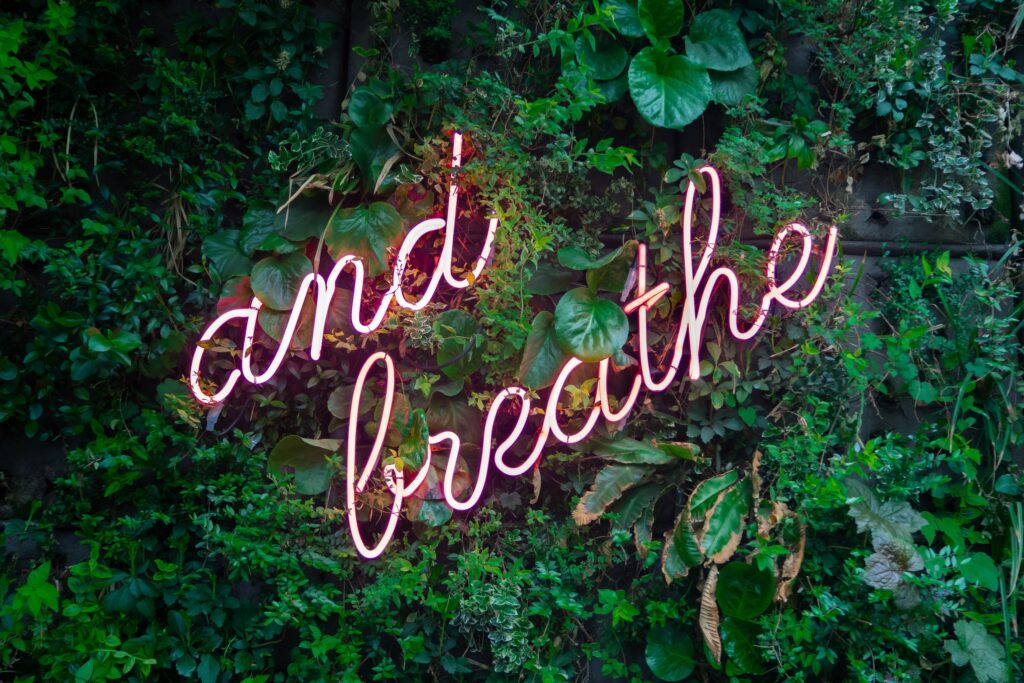 The words And Breathe in neon lighting with a green foliage bachground